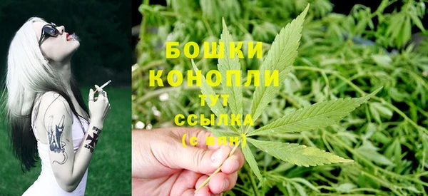 тгк Корсаков