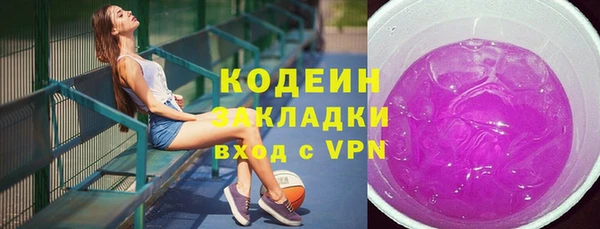 прущие грибы Кулебаки
