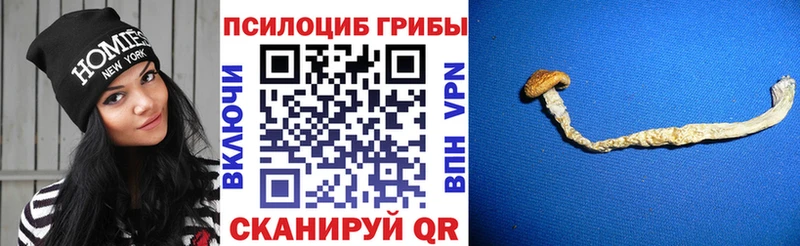 Псилоцибиновые грибы прущие грибы  Кашира 